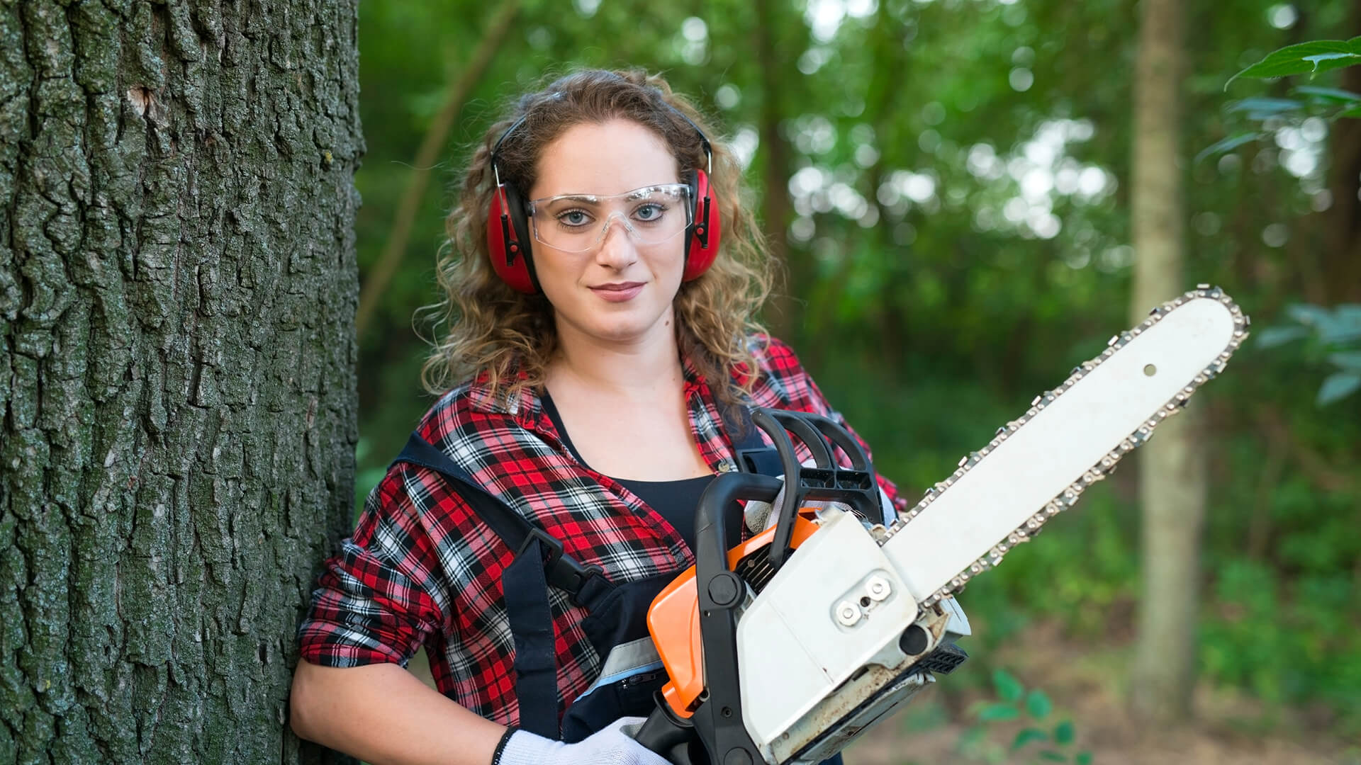 The Creating a Tree Service Plan for Your Property.